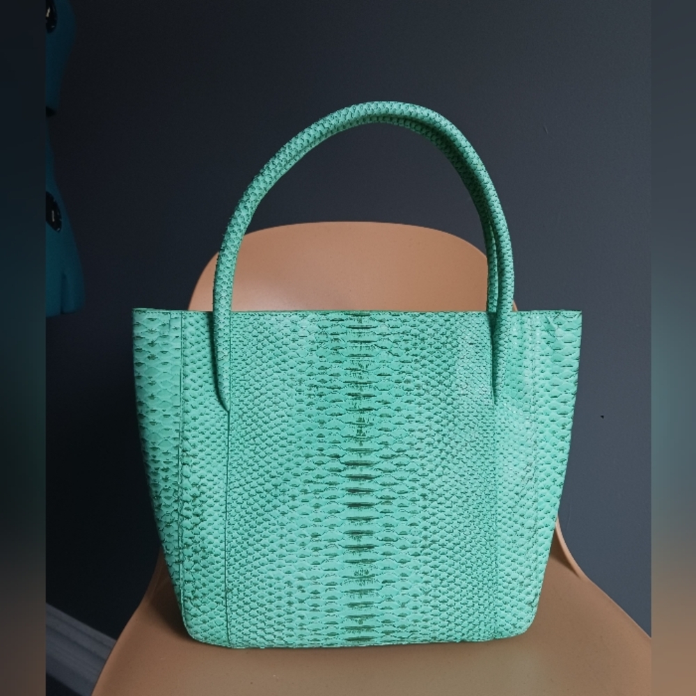 NWT Nancy Gonzalez Genuine Python Bivittatus Shou… - image 2